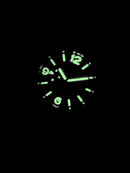 Panerai Luminor Marina 44 mm Aço Mostrador Verde