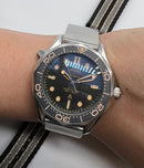 OMEGA DIVER 300M CO‑AXIAL MASTER CHRONOMETER 42mm - 007